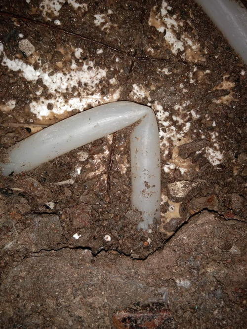 沈丘堵点精准查找